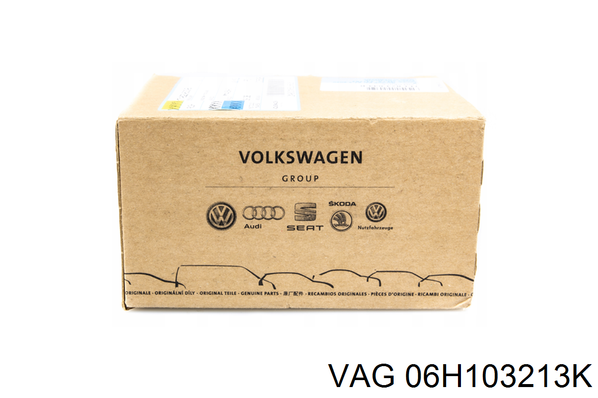 06H103213K VAG